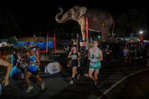 BIB: 
                            <button type="button" onclick="openModal(26552286)" class="btn btn-primary btn-sm float-right btn-popup" data-toggle="modal" data-target=".modal-high-quality">
                        <i class="fas fa-shopping-cart"></i> Add to Cart
                    </button>
                                            <button type="button" onclick="isThisMe(26552286, true)" class="btn btn-success btn-sm float-right btn-popup btn-isme hidden" data-toggle="tooltip" data-placement="bottom" title="นี่คือรูปของคุณใช่ไหม คลิกที่นี่เพื่อเอาเข้าอัลบั้ม">
                        <i class="fas fa-plus"></i> Add to album
                    </button>
                    <button type="button" onclick="isThisMe(26552286, false)" class="btn btn-warning btn-sm float-right btn-popup btn-isnotme hidden">
                        <i class="fas fa-ban"></i> Remove from album
                    </button>